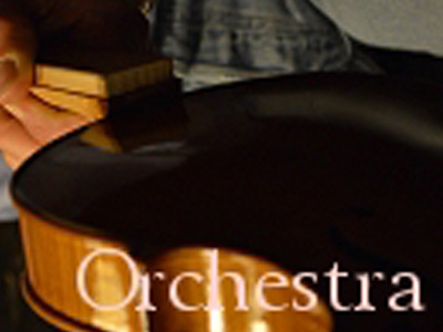 Orchestra(包括分数琴)
